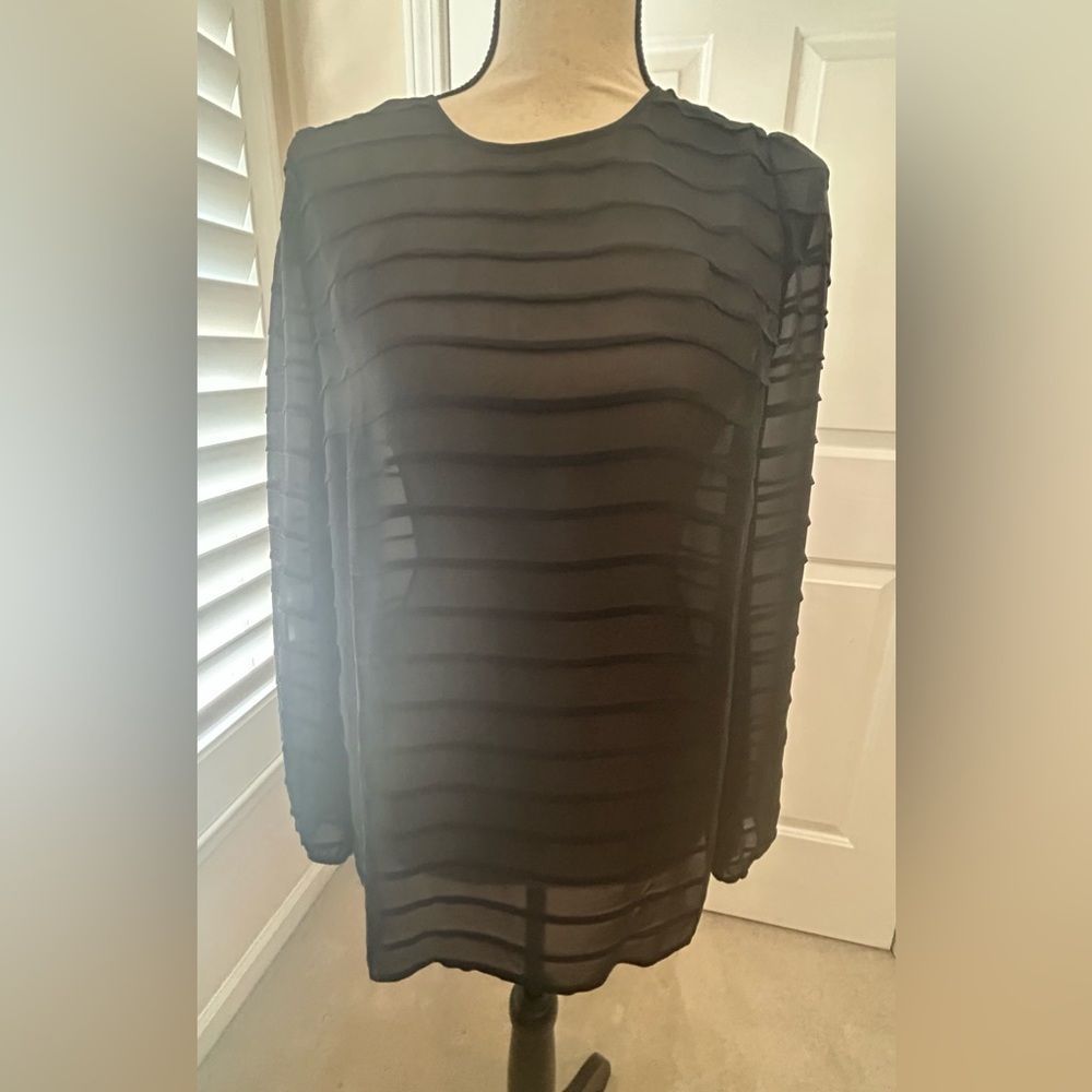 Talbots sheer blouse, size 8, need a camisole to wear with this beauty). NWT